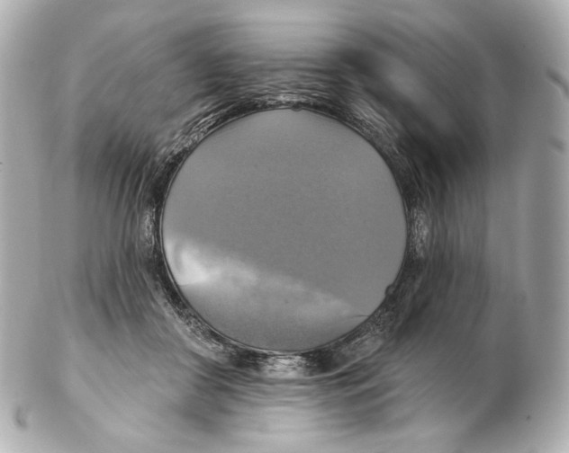 X0000102410410200808291512