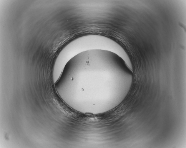 X0000102410411200808291512