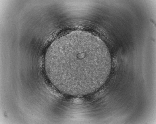 X0000102410412200808291512