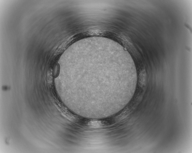 X0000102410413200808291512