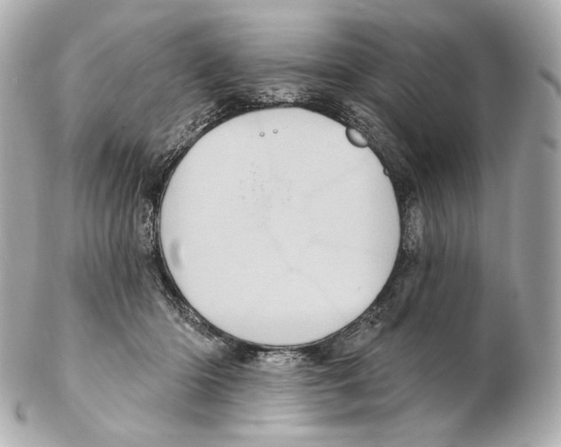 X0000102410414200808291512