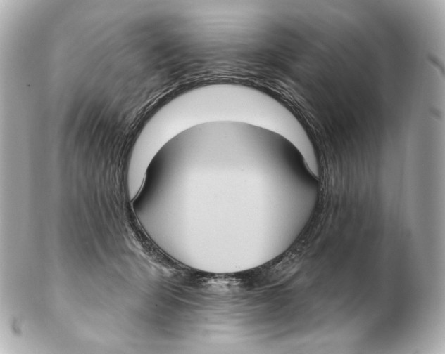 X0000102410415200808291512