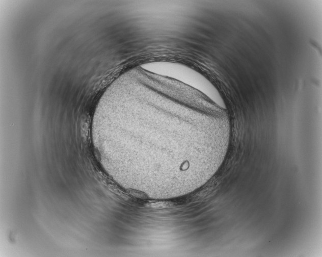 X0000102410417200808291512