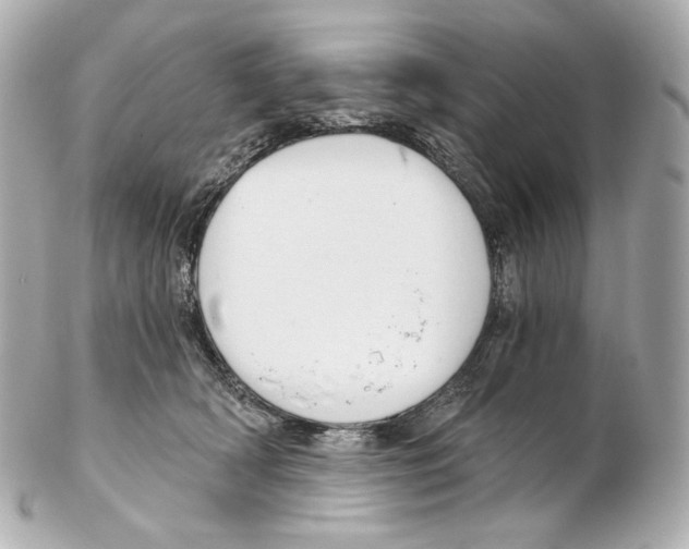 X0000102410418200808291512