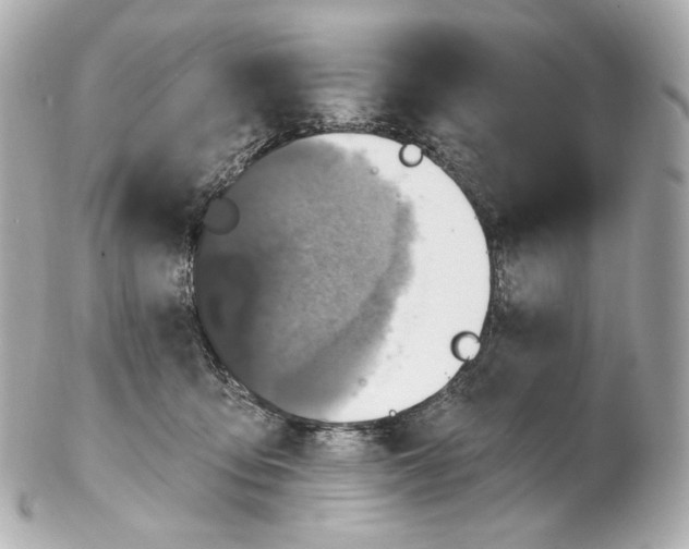 X0000102410419200808291512