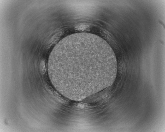 X0000102410420200808291512