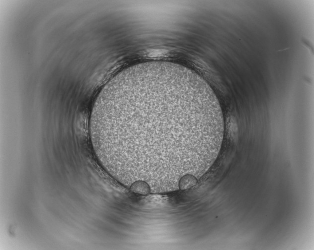 X0000102410421200808291512