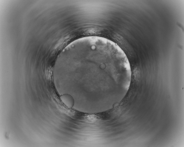 X0000102410423200808291512