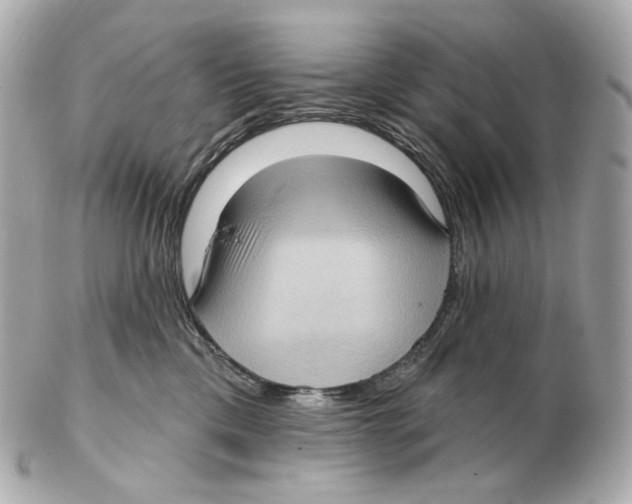 X0000102410425200808291512