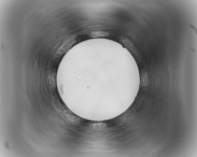 X0000102410426200808291512