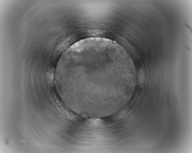 X0000102410427200808291512