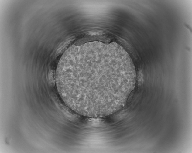 X0000102410428200808291512