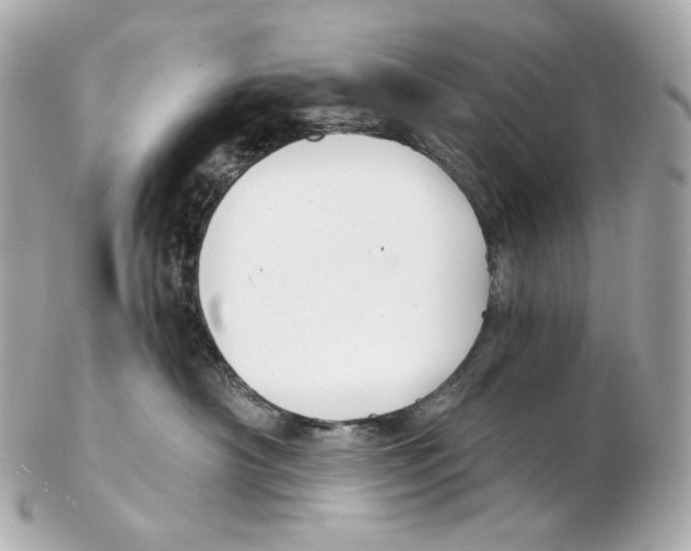 X0000102410430200808291512