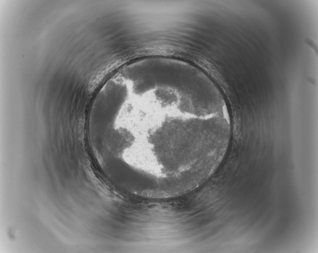 X0000102410434200808291511