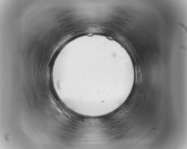 X0000102410435200808291511