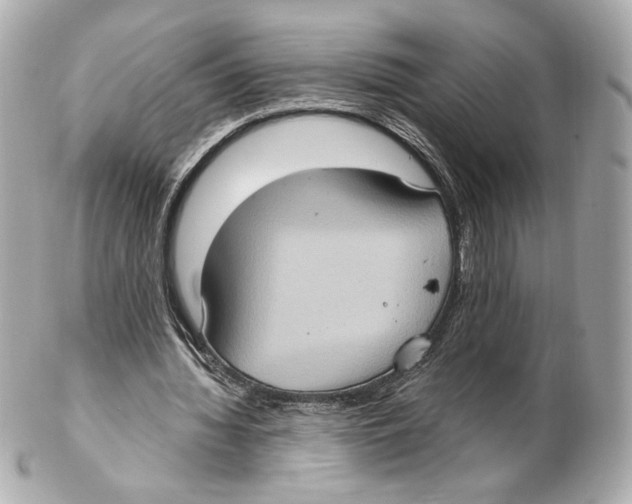 X0000102410436200808291511