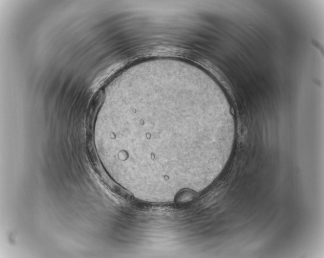 X0000102410437200808291511