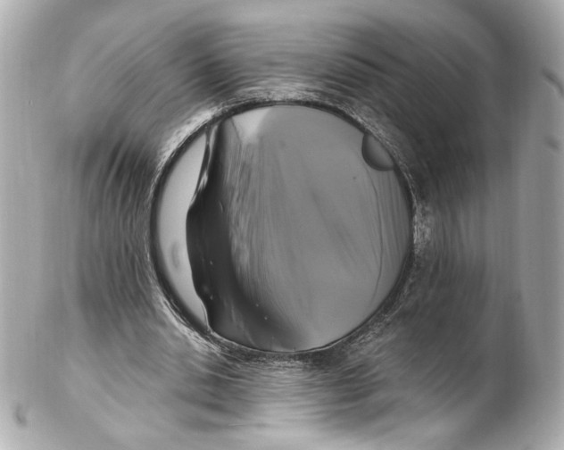 X0000102410438200808291511