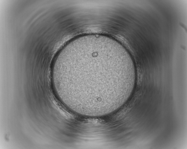 X0000102410439200808291511