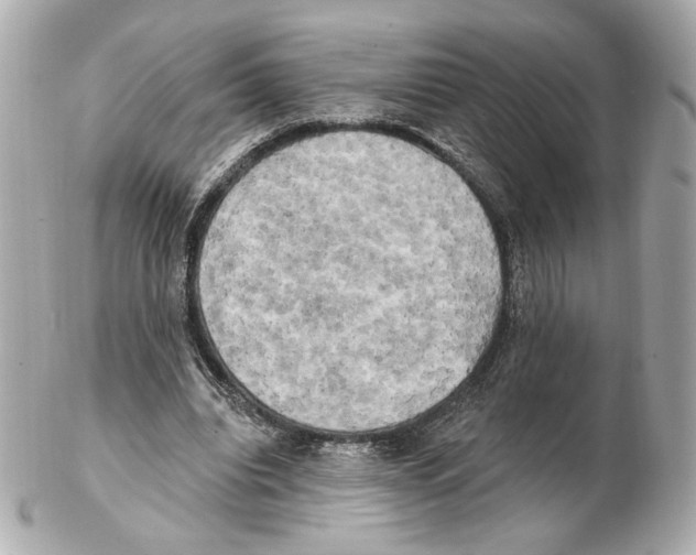 X0000102410440200808291511