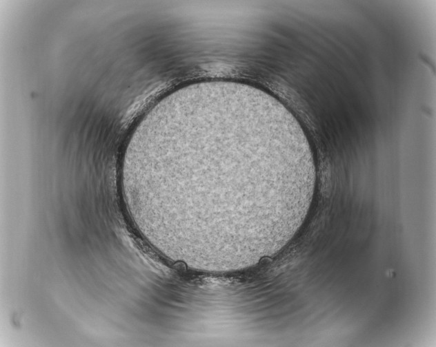 X0000102410442200808291511