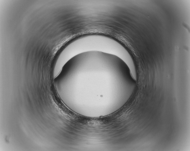 X0000102410444200808291511