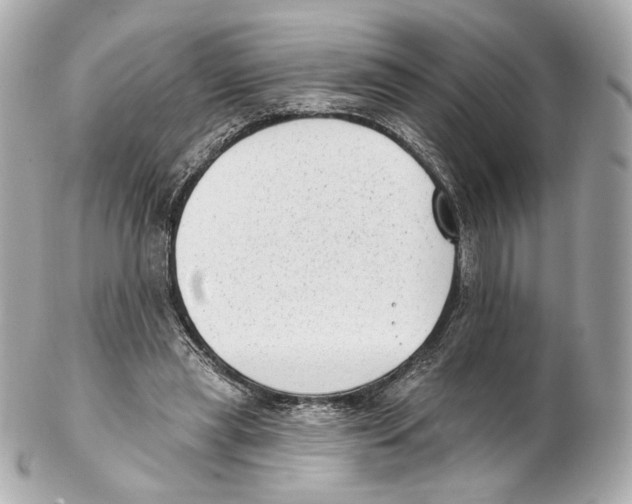 X0000102410445200808291511