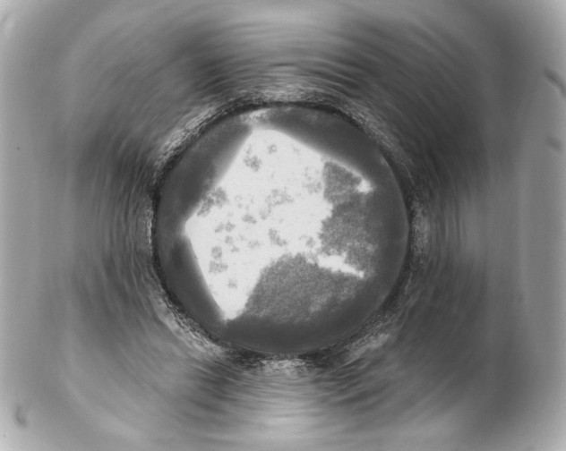 X0000102410446200808291511