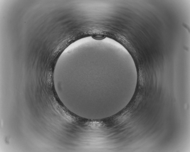 X0000102410449200808291511