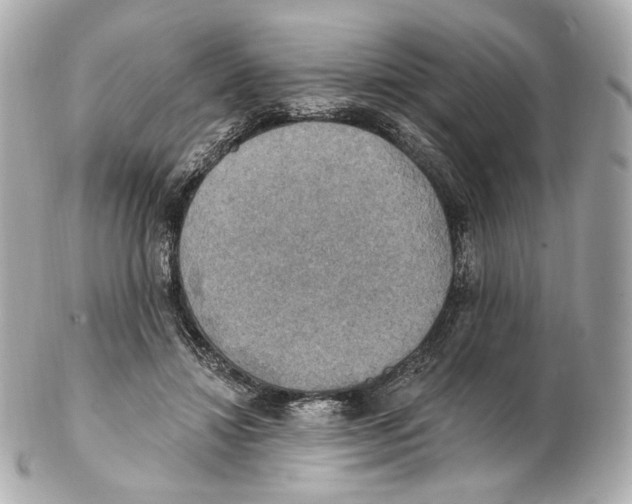 X0000102410452200808291511