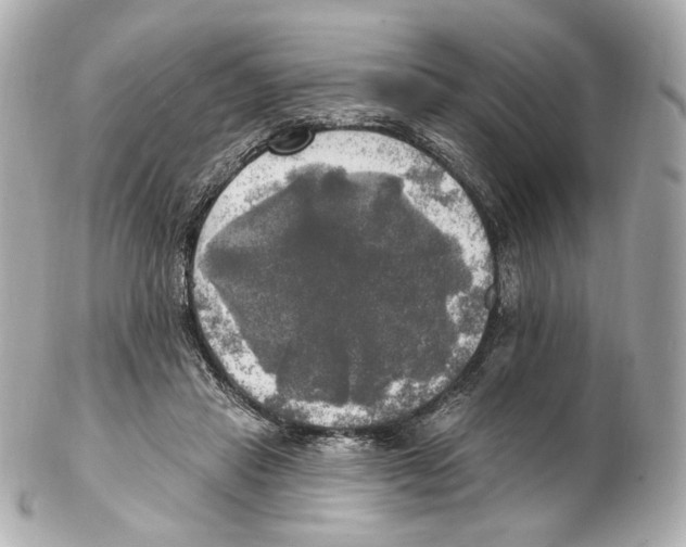 X0000102410453200808291511