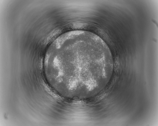 X0000102410454200808291511