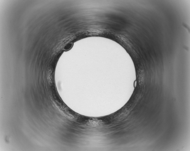 X0000102410455200808291511