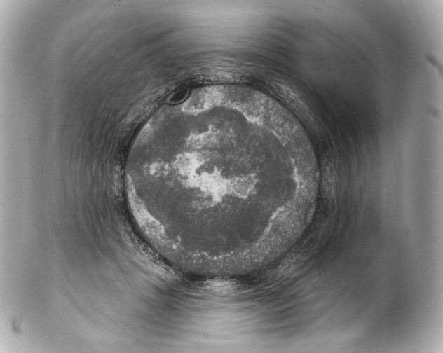 X0000102410457200808291511