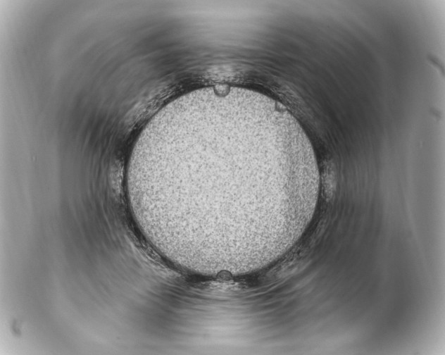 X0000102410458200808291511