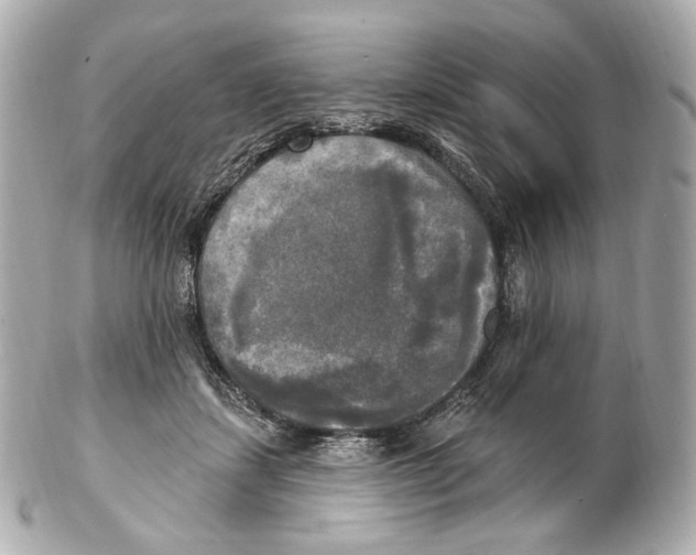 X0000102410459200808291511