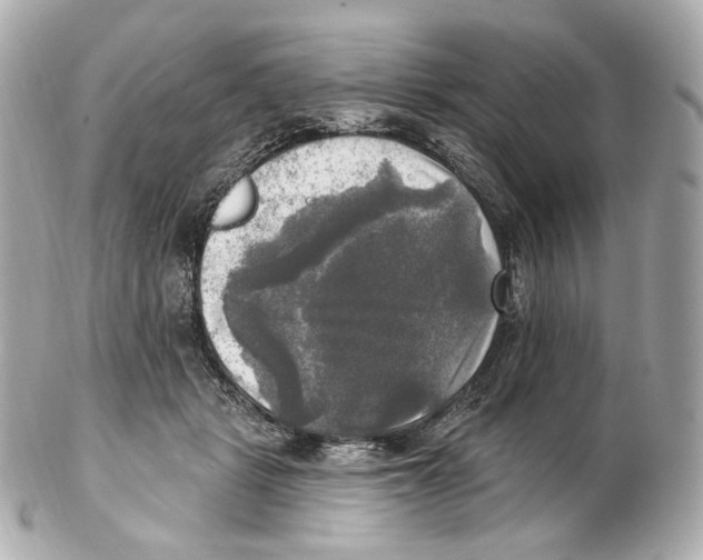 X0000102410461200808291511