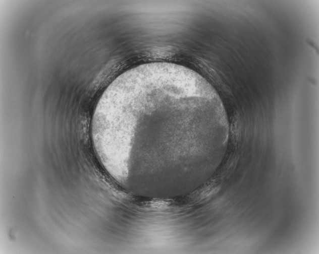 X0000102410462200808291511