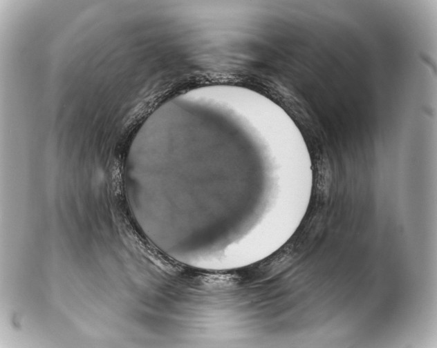 X0000102410465200808291511