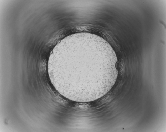 X0000102410466200808291511