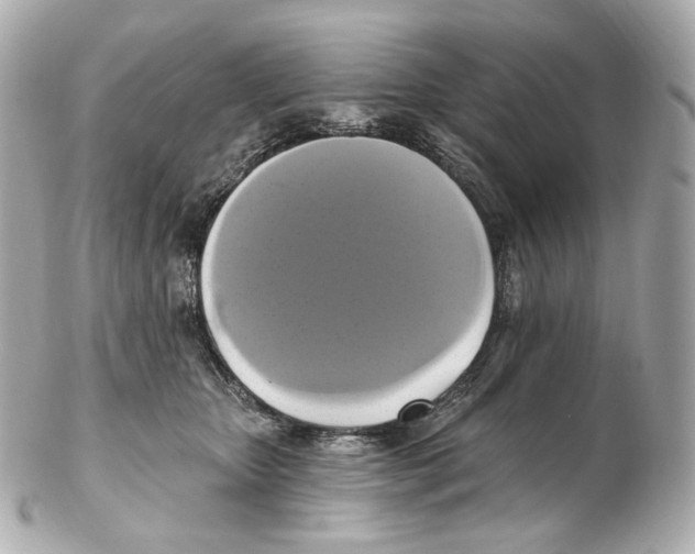 X0000102410467200808291511