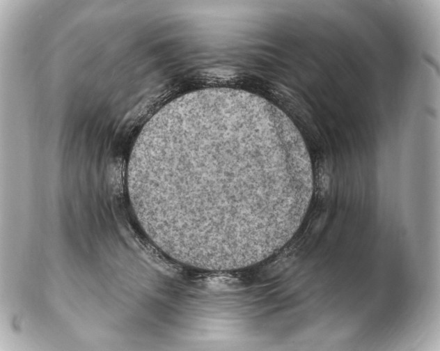 X0000102410468200808291511