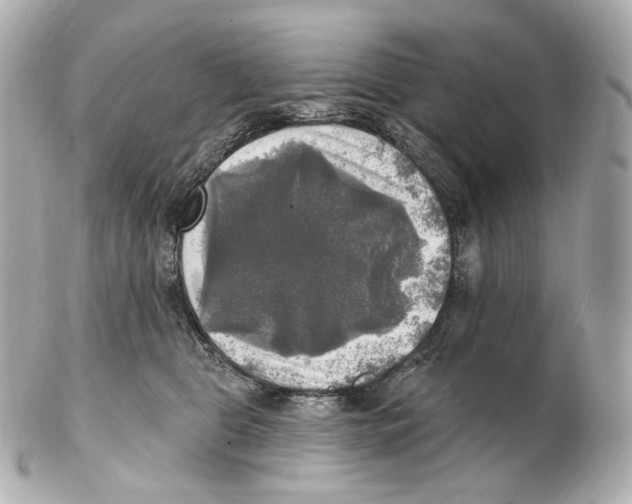 X0000102410469200808291511