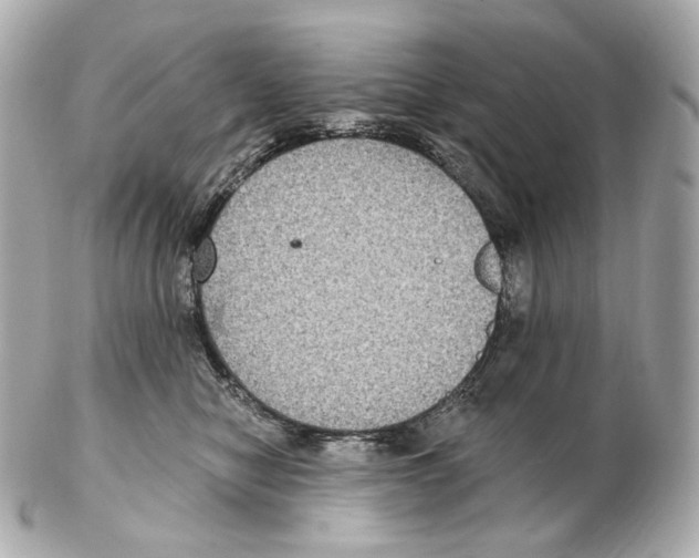 X0000102410470200808291511