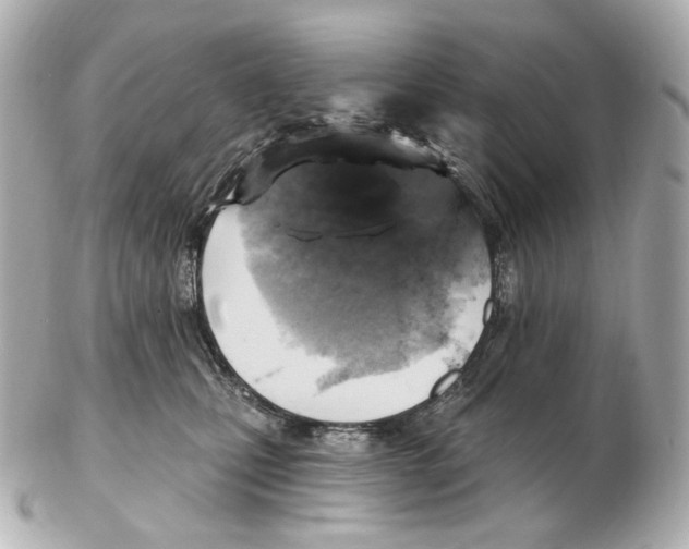 X0000102410471200808291511