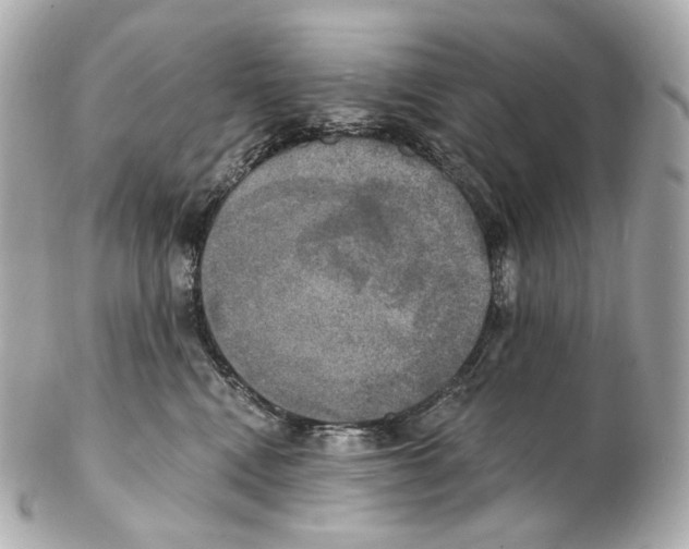 X0000102410472200808291511