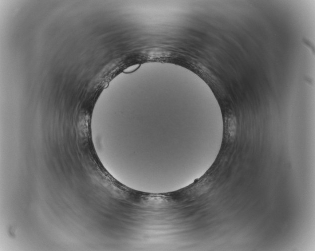 X0000102410475200808291511