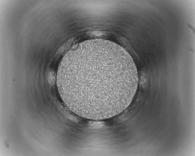 X0000102410476200808291512