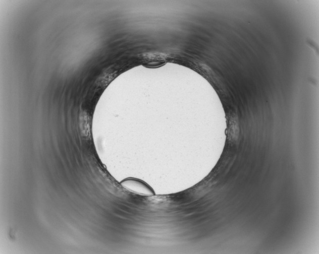 X0000102410477200808291512