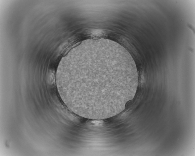 X0000102410478200808291512